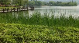 obrázek - 黃山湖公園
