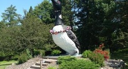 obrázek - World's Largest Loon