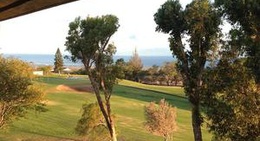 obrázek - Paniolo Greens