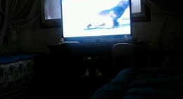 obrázek - Hay El Menzeh