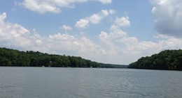 obrázek - Bailey Springs