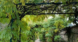 obrázek - Schlosspark