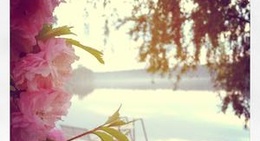 obrázek - Seegasthof am Straussee