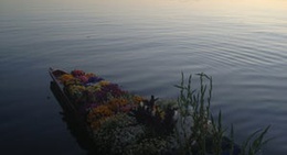 obrázek - Nigeen Lake