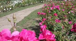 obrázek - Grădina Botanică "Anastasie Fătu"