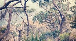 obrázek - Rangikapiti Pa