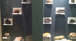 obrázek - Muzeul De Ştiinţe Ale Naturii