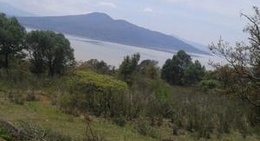 obrázek - Los Colibries