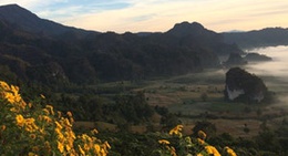 obrázek - ลานช่างภาพภูลังการีสอร์ท