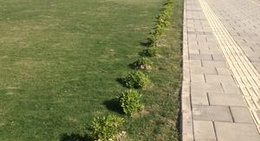 obrázek - Saim Göküş Parkı