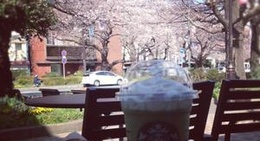 obrázek - Starbucks Coffee 国立店