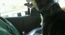 obrázek - Kwik Trip #765