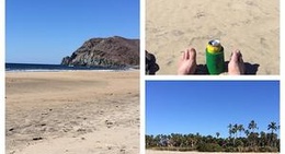 obrázek - Pescadero Beach