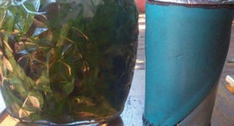 obrázek - Barrio Sigfrido Tischler