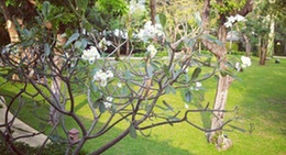 obrázek - Raya Resort Cha-Am (รายา รีสอร์ท ชะอำ)