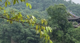 obrázek - 飞沙堰