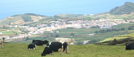 obrázek - Porto Martins