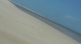 obrázek - Ilha da Sogra