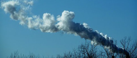 obrázek - Greenwood