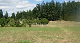 obrázek - Lake Isabella State Park