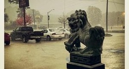 obrázek - Zheng Garden