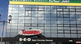 obrázek - ヤマダ電機 テックランド水沢店