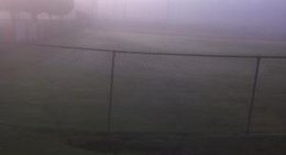 obrázek - Four Fields