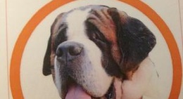 obrázek - le saint bernard
