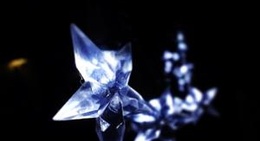 obrázek - El Rincon De Los Sabores