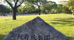 obrázek - Sunpujo Park (駿府城公園)