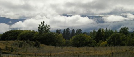 obrázek - Albert Town