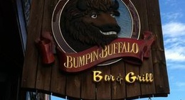 obrázek - Bumpin' Buffalo