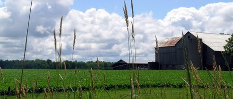 obrázek - Grand Bend