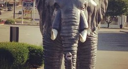 obrázek - Elephant