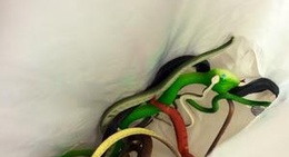 obrázek - Wampum Shop