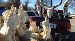 obrázek - Stephenville, TX