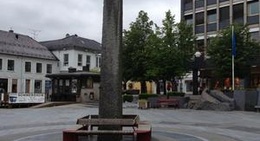 obrázek - Larvik Torv