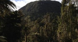 obrázek - Rainforest Retreat Franz Josef