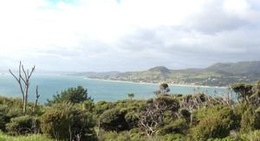 obrázek - Arai Te Uru Recreational Reserve