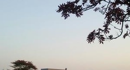 obrázek - 総合公園だて歴史の杜