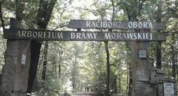 obrázek - Arboretum Bramy Morawskiej
