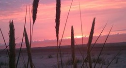 obrázek - Mazirbes Krasts