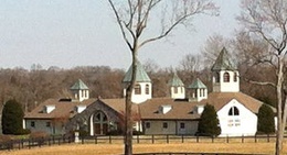 obrázek - Starstruck Farms