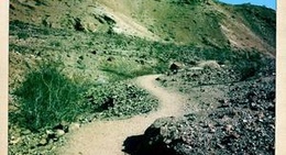 obrázek - Bump and Grind Trail