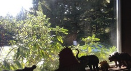 obrázek - Rustic Skillet