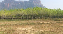 obrázek - ภูลังกาคาเฟ่