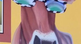 obrázek - MOOYAH Burgers, Fries & Shakes