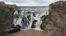obrázek - Delicias Chihuahua