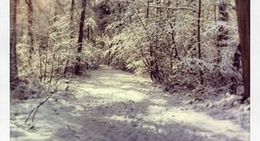 obrázek - Boncelles