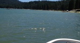 obrázek - Recreation Point/ Bass Lake